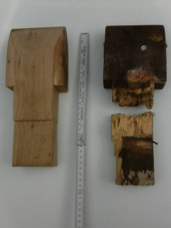 Neuer und alter Zahn Neuer und alter Zahn